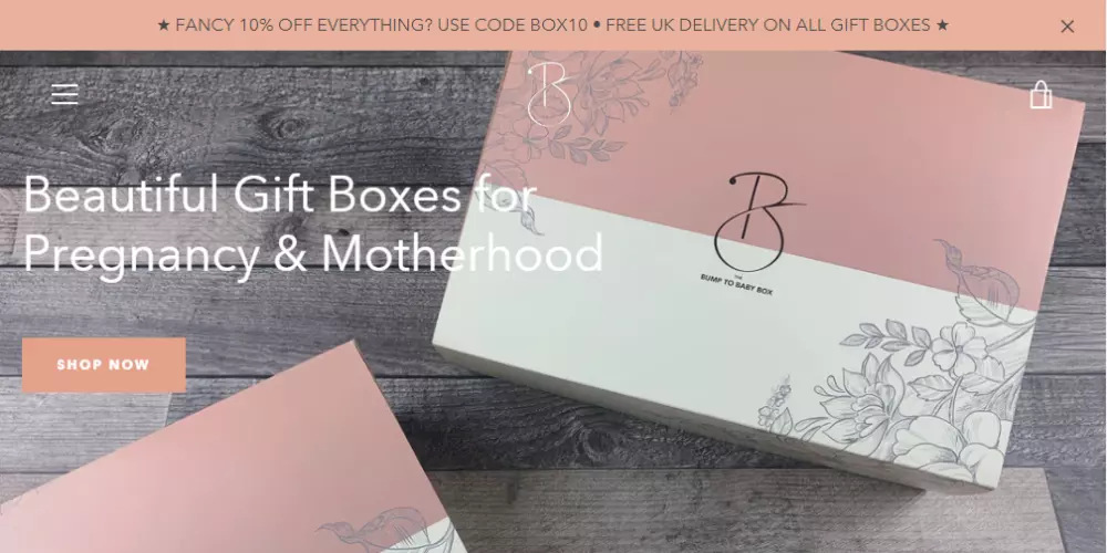 Best Pregnancy Subscription Boxes