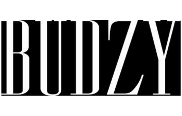 Budzy Box Logo