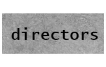 Directors Hair Logo