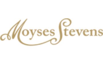 Moyses Stevens Logo