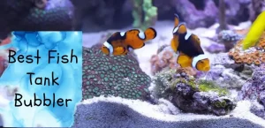 Best Fish Tank Bubblers