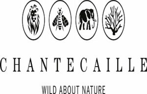 chantecaille logo