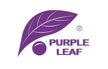 Purple Leaf US
