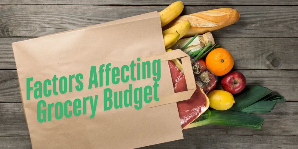 Best Tips On How To Budget Groceries Efficiently 2 Factors Affecting Grocery Budget